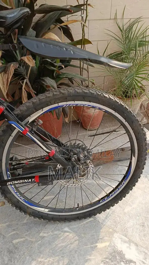 26-Inch Cycle with New Tires - Well-Maintained Condition