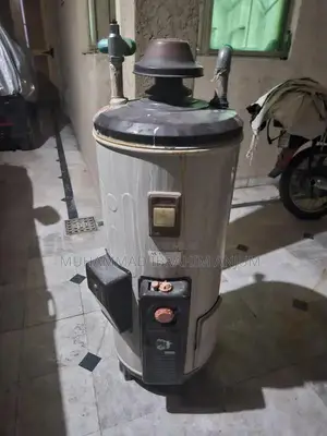 Photo - 25 gallon electric and gas gyser