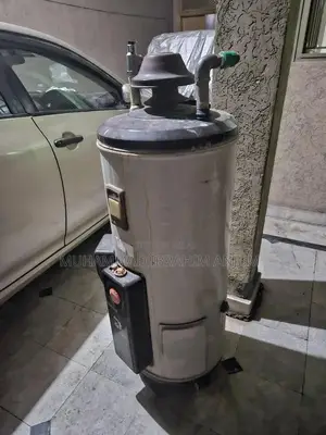 25 gallon electric and gas gyser