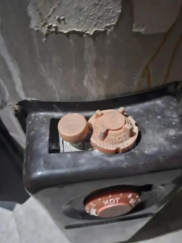 25 gallon electric and gas gyser