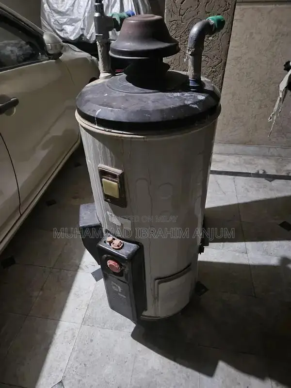 25 gallon electric and gas gyser