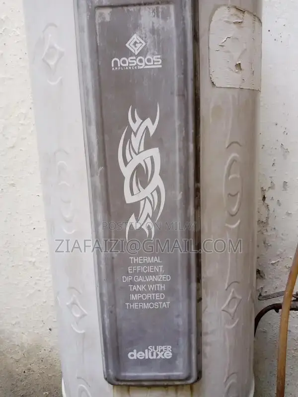 Geyser 35 Gallon Water Heater - Used Condition