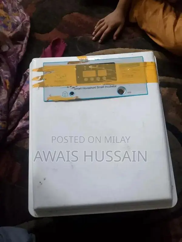 Professional 80-Egg Incubator for Poultry Hatching