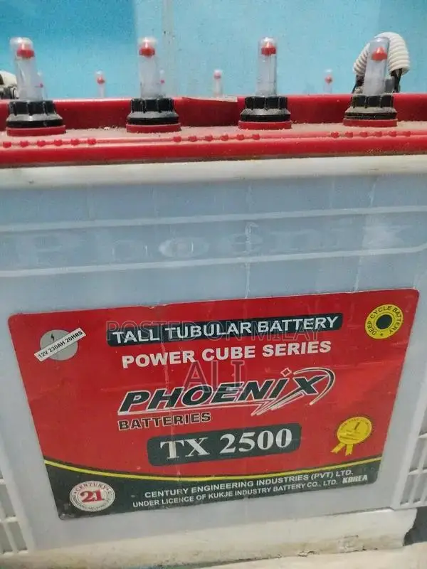 Fronus 7 kW Solar Inverter with 4 Phoenix TX2500 Batteries