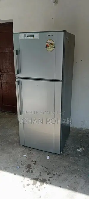 Photo - dubai se import frigh