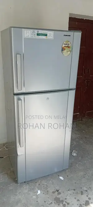 dubai se import frigh