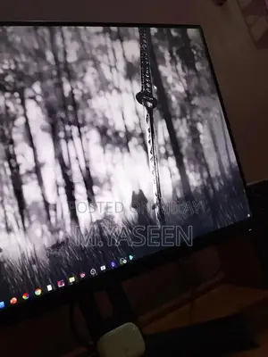 Dell HD Monitor with Touch Buttons - Professional Display