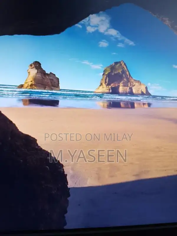 Dell HD Monitor with Touch Buttons - Professional Display