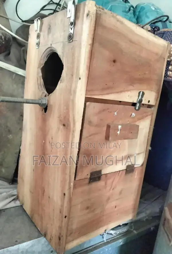 Raw Breeder Pair - Adult Flying Parrots with Excellent Tail Length