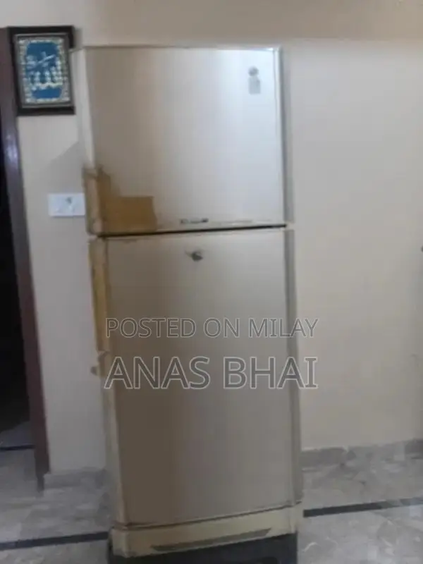 PEL Medium Refrigerator - Compact Home Cooling Appliance