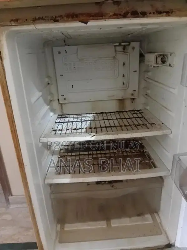 PEL Medium Refrigerator - Compact Home Cooling Appliance