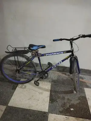 Photo - Bycycle one month use