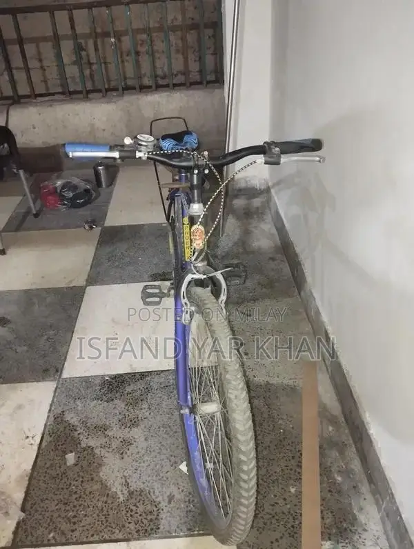 Bycycle one month use