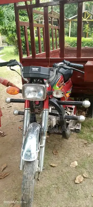 Photo - Soft Road Vehicle with Ravi River Location