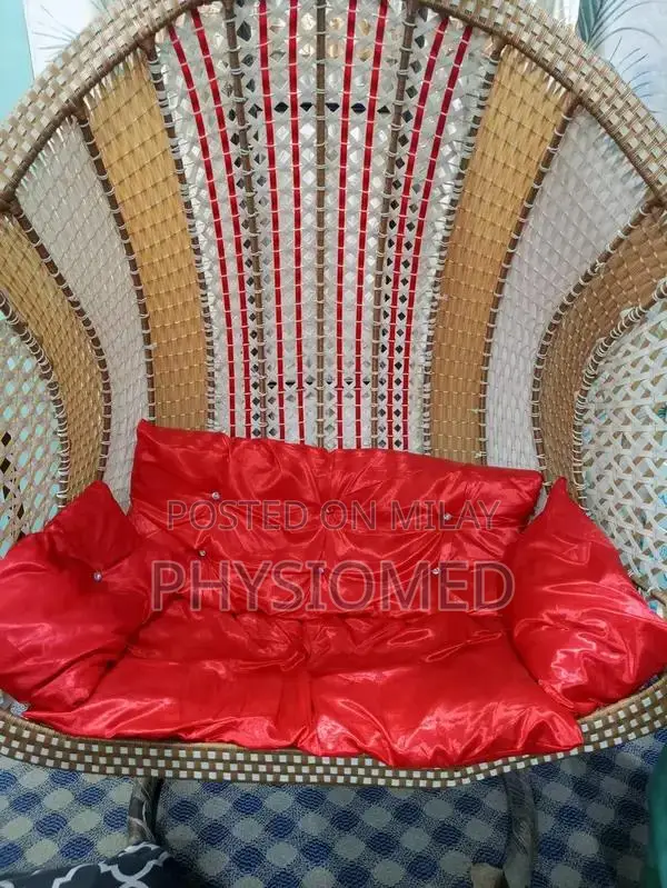 Double Hanging Swing Jhoola for Indoor and Outdoor Use