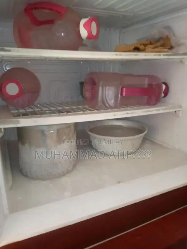 PEL Full Size Refrigerator - Excellent Condition