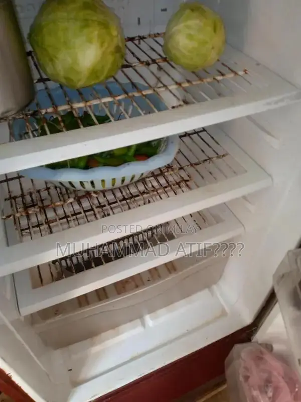 PEL Full Size Refrigerator - Excellent Condition