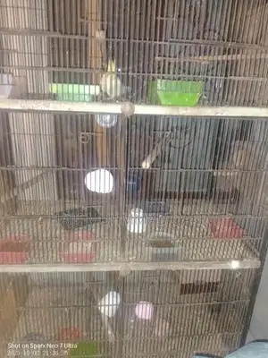 Photo - Love Birds Breeding Cage Set with Nesting Boxes