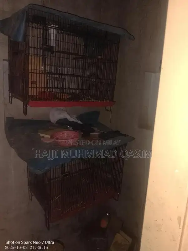 Love Birds Breeding Cage Set with Nesting Boxes