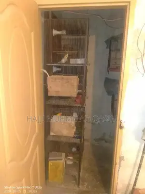 Love Birds Breeding Cage Set with Nesting Boxes