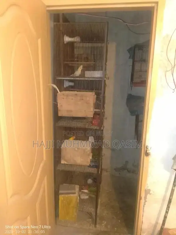 Love Birds Breeding Cage Set with Nesting Boxes