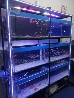 Multi-Tank Fish Aquarium Display Rack with Light