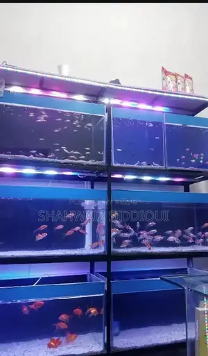 Multi-Tank Fish Aquarium Display Rack with Light