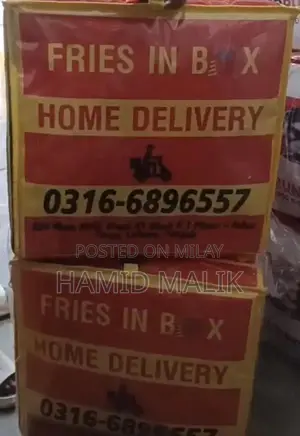 Professional Food Delivery Bags for Takeaway and Pizza Transport