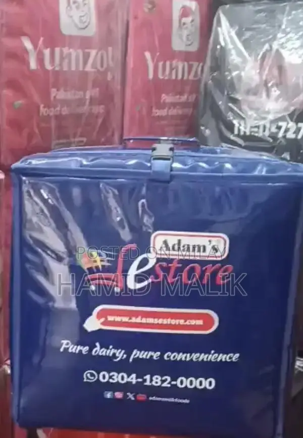 Professional Food Delivery Bags for Takeaway and Pizza Transport