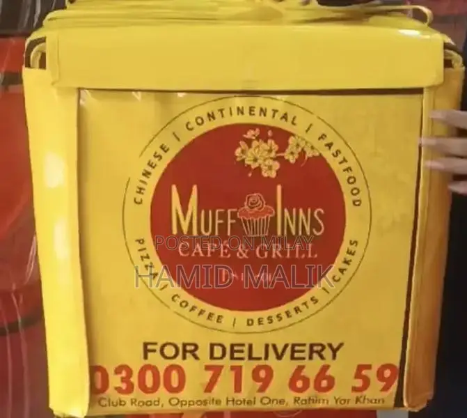 Professional Food Delivery Bags for Takeaway and Pizza Transport