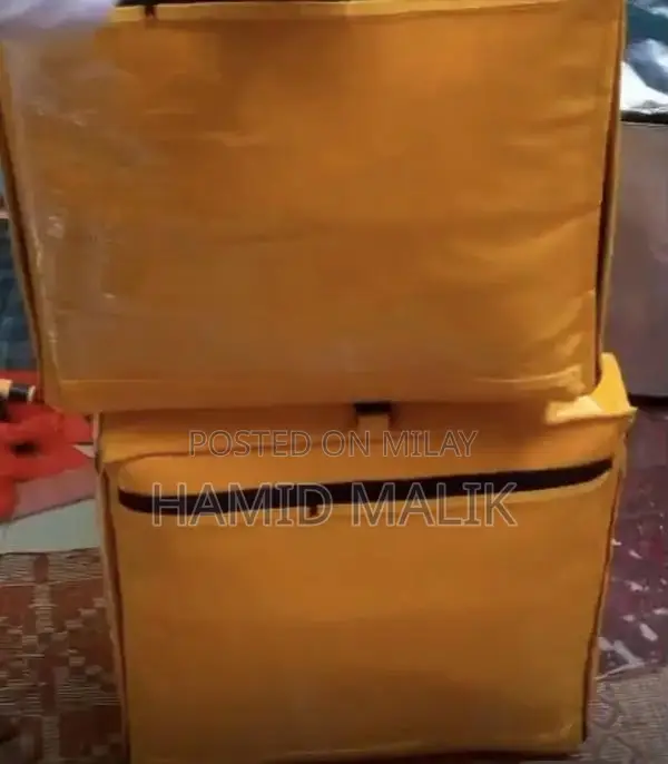 Professional Food Delivery Bags for Takeaway and Pizza Transport