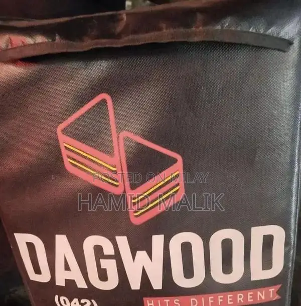 Professional Food Delivery Bags for Takeaway and Pizza Transport