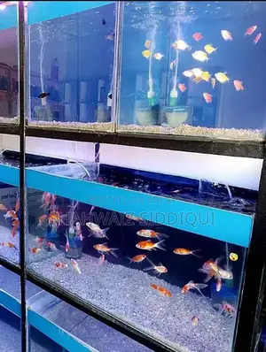 Multi-Tank Fish Aquarium Display Rack with Light