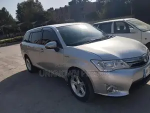Photo - Toyota Corolla Fielder Hybrid Station Wagon - Compact Family Vehicle