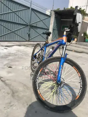 Specialized Mountain Dolphin River Cycle - Versatile Outdoor Bike