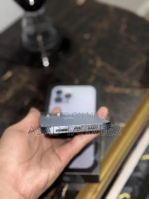 Apple iPhone 13 Pro Max - High-End Smartphone