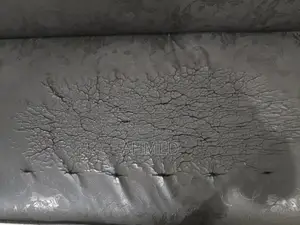 Classic Living Room Sofa with Mixed Condition Ratings