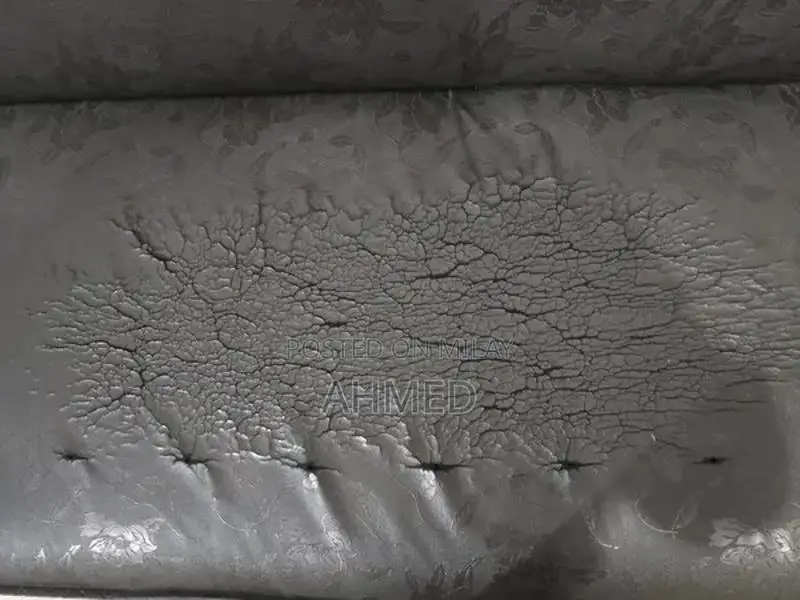 Classic Living Room Sofa with Mixed Condition Ratings