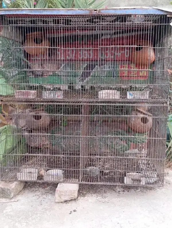 Folding Bird Cage Set - Compact Multi-Box Design