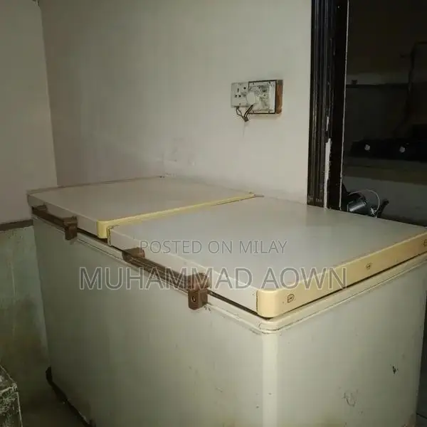 Dawlance 2-Door Refrigerator with Freezer Compartment