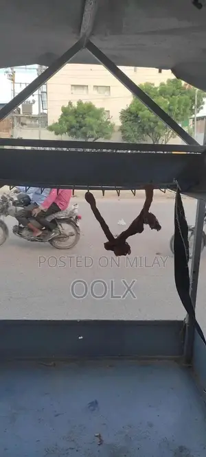 Durable Commercial Fries Stall with Cooking Equipment