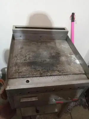 Commercial Heavy-Duty Deep Fryer with Hot Plate
