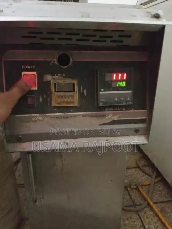 Commercial Heavy-Duty Deep Fryer with Hot Plate