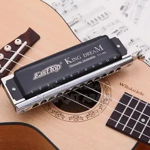 EASTTOP Professional Chromatic Harmonica 48-Key Mouth Organ