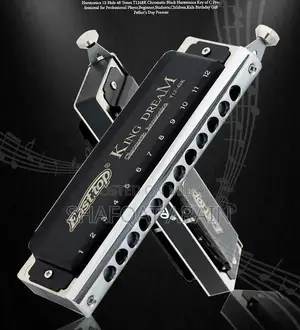EASTTOP Professional Chromatic Harmonica 48-Key Mouth Organ