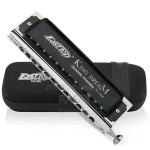 Professional Chromatic Harmonica with Rich Tones and Portable Design