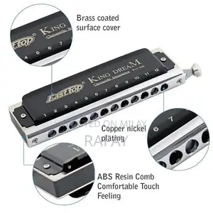 Professional Chromatic Harmonica with Rich Tones and Portable Design