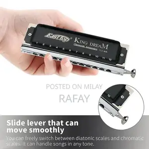 Professional Chromatic Harmonica with Rich Tones and Portable Design