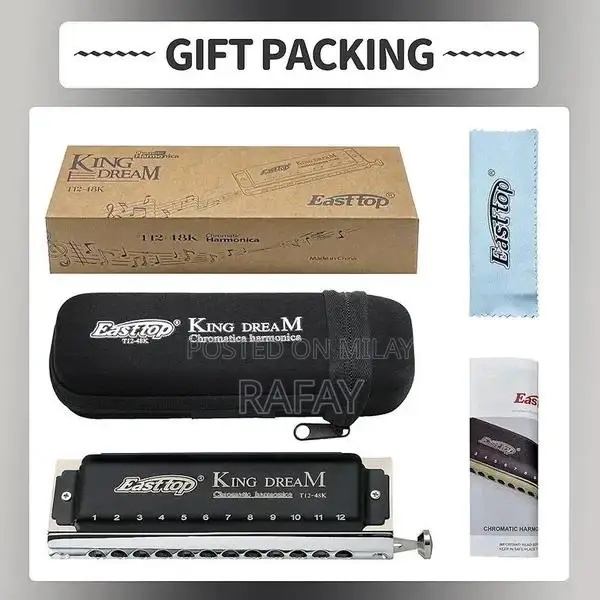 Professional Chromatic Harmonica with Rich Tones and Portable Design