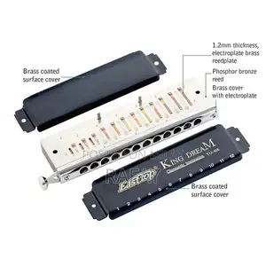 Professional Chromatic Harmonica with Rich Tones and Portable Design